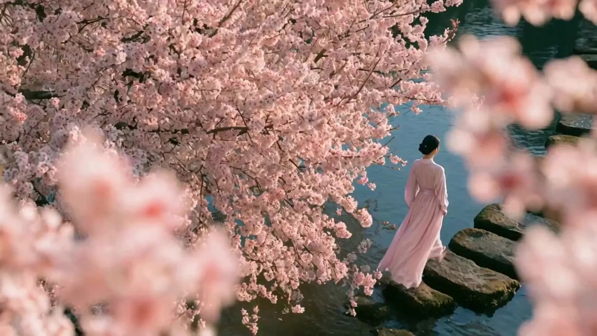 Showa Japan MV